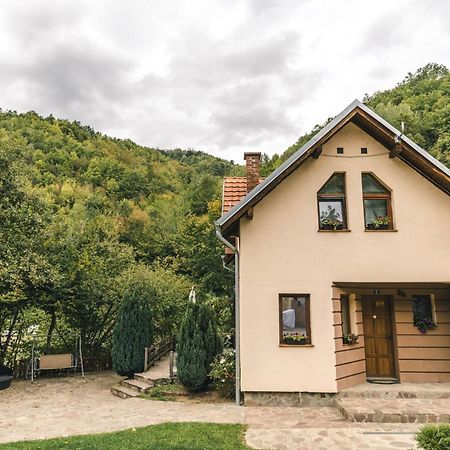 Lodge Zeleni Svet Crni Vrh Exteriör bild