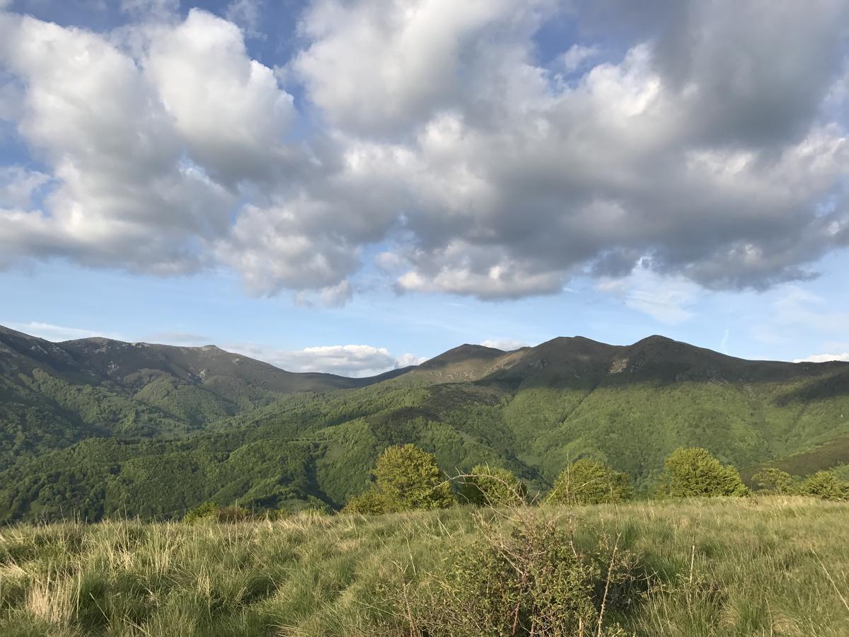 Lodge Zeleni Svet Crni Vrh Exteriör bild