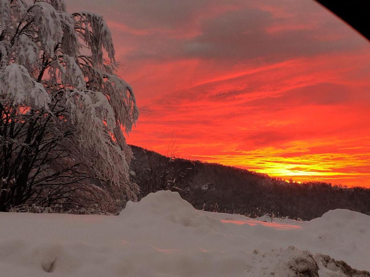 Lodge Zeleni Svet Crni Vrh Exteriör bild